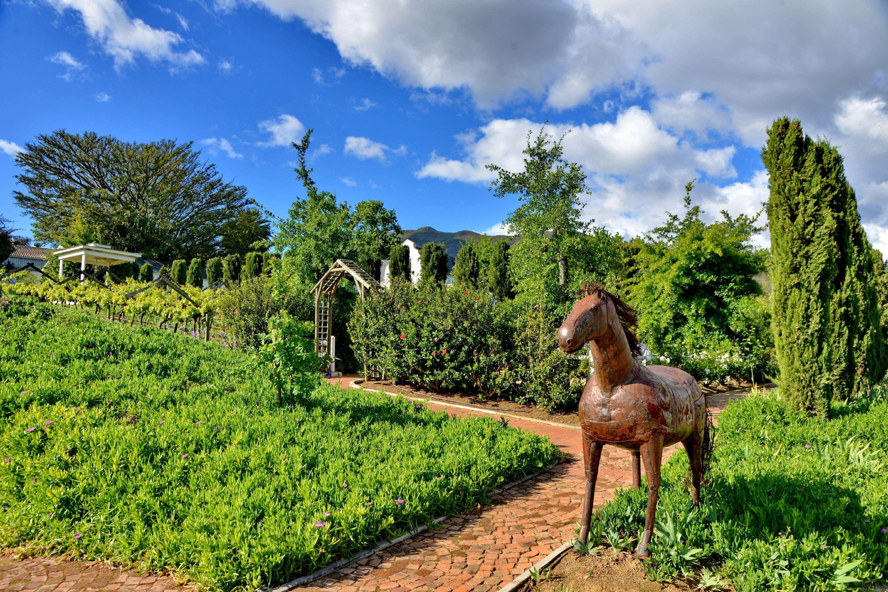 Val Du Charron Wine & Leisure Estate Hotel Wellington Ngoại thất bức ảnh
